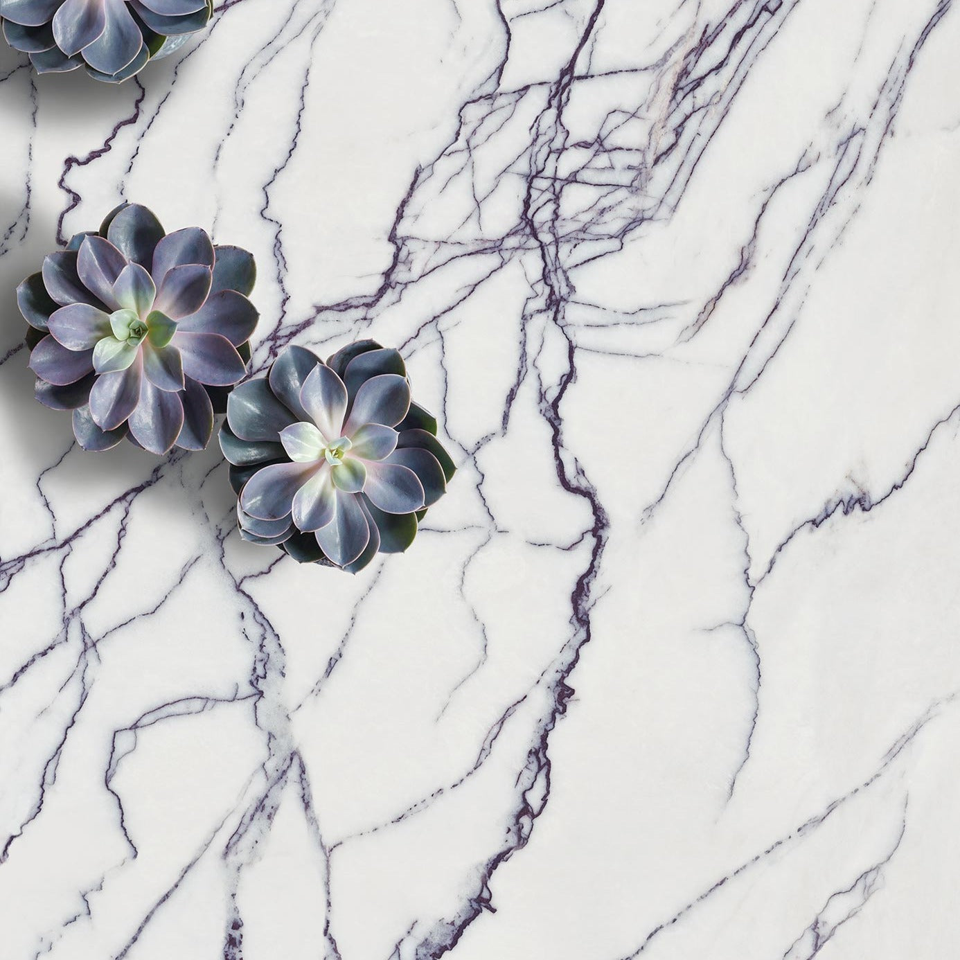 ARKLAM / LILAC / HONED / 2 cm
