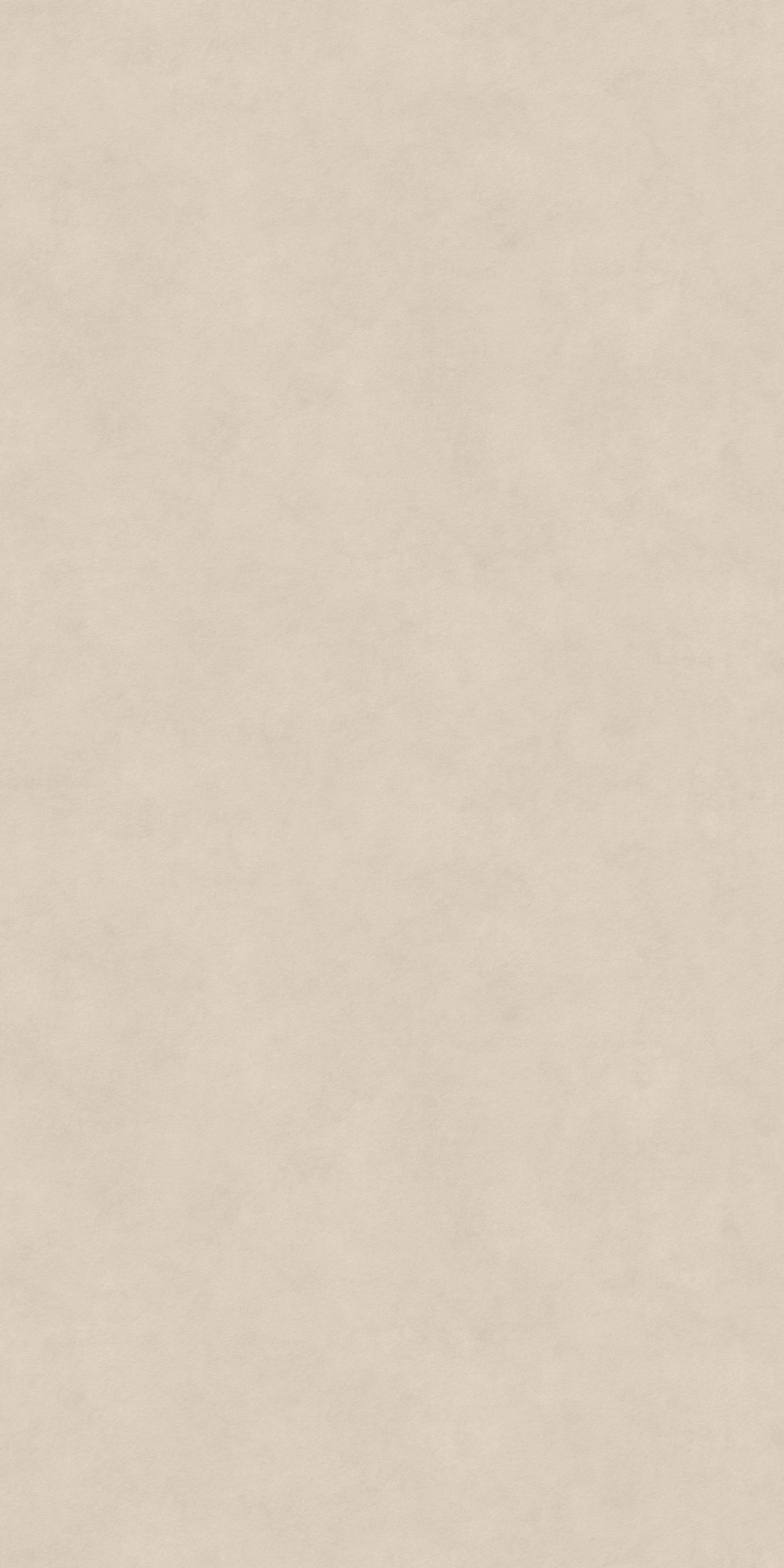 NEOLITH / PIETRA DI OSSO / SILK / 2 cm