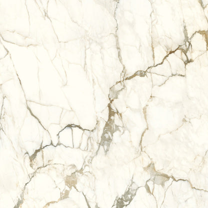 SAPIENSTONE / CALACATTA MACHIA VECCHIA / PULIDO / 1.2 cm