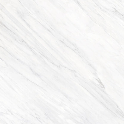 SAPIENSTONE / ELEGANCE WHITE / / 1.2 cm