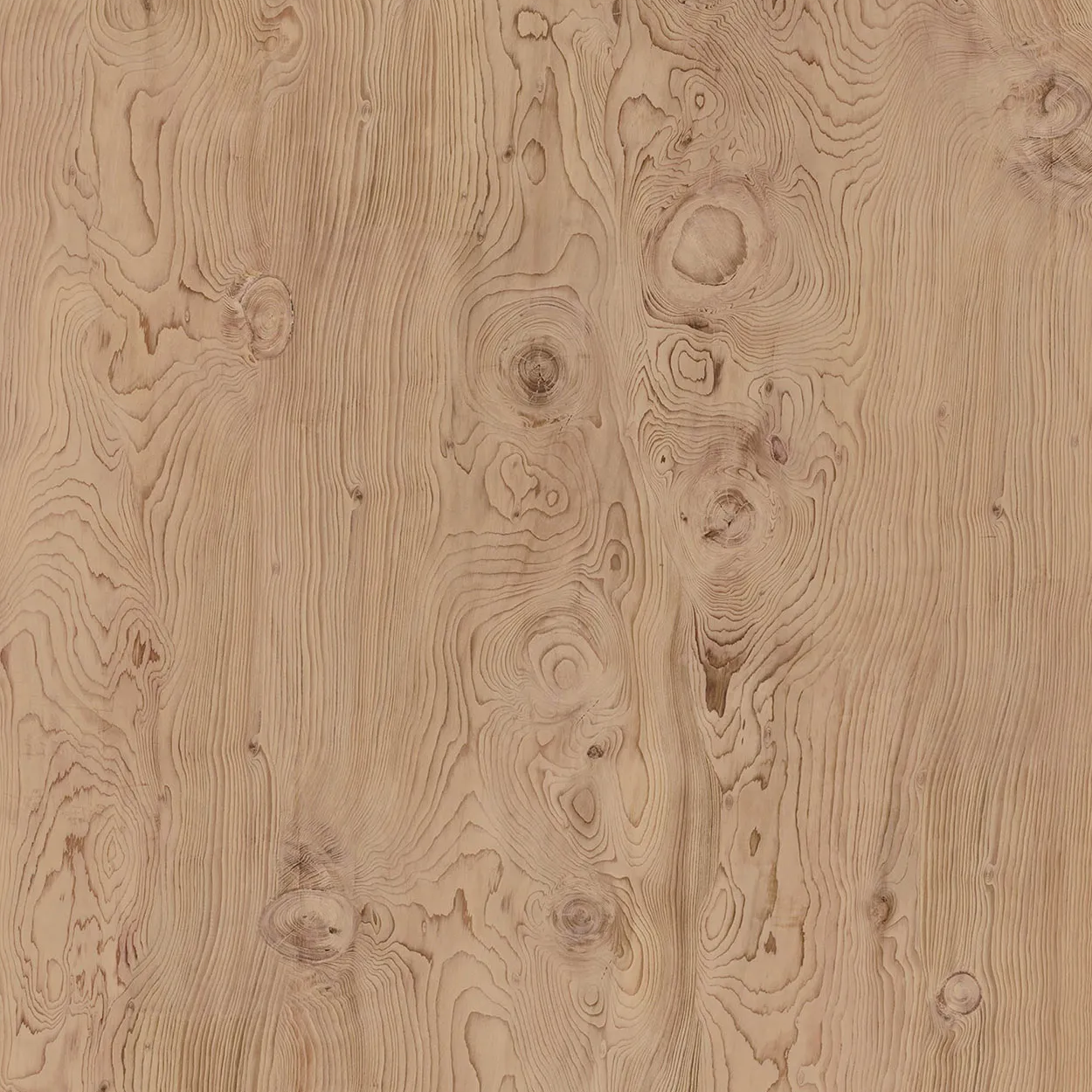 NEOLITH / LA BOHEME / SATIN / 1.2 cm
