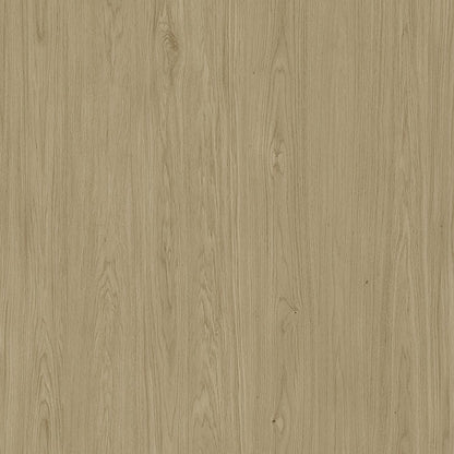 XTONE / NEDA / NATURAL / 1.2 cm