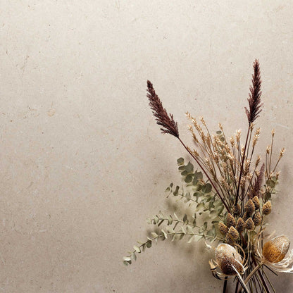 ABK / TRANI IVORY / NATURAL / 2 cm